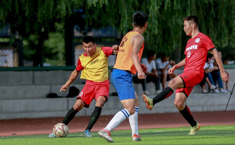 库拉索、苏里南和印尼：本届世预赛为什么有那么多荷兰二队？（本届世预赛“荷兰二队”为何扎堆？聚焦库拉索、苏里南与印尼）